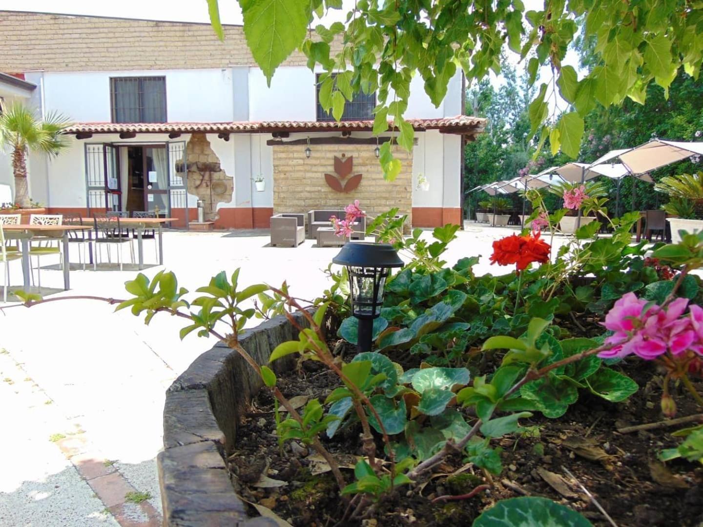 Casale Rurale Bed & Breakfast San Marco Evangelista Exterior photo