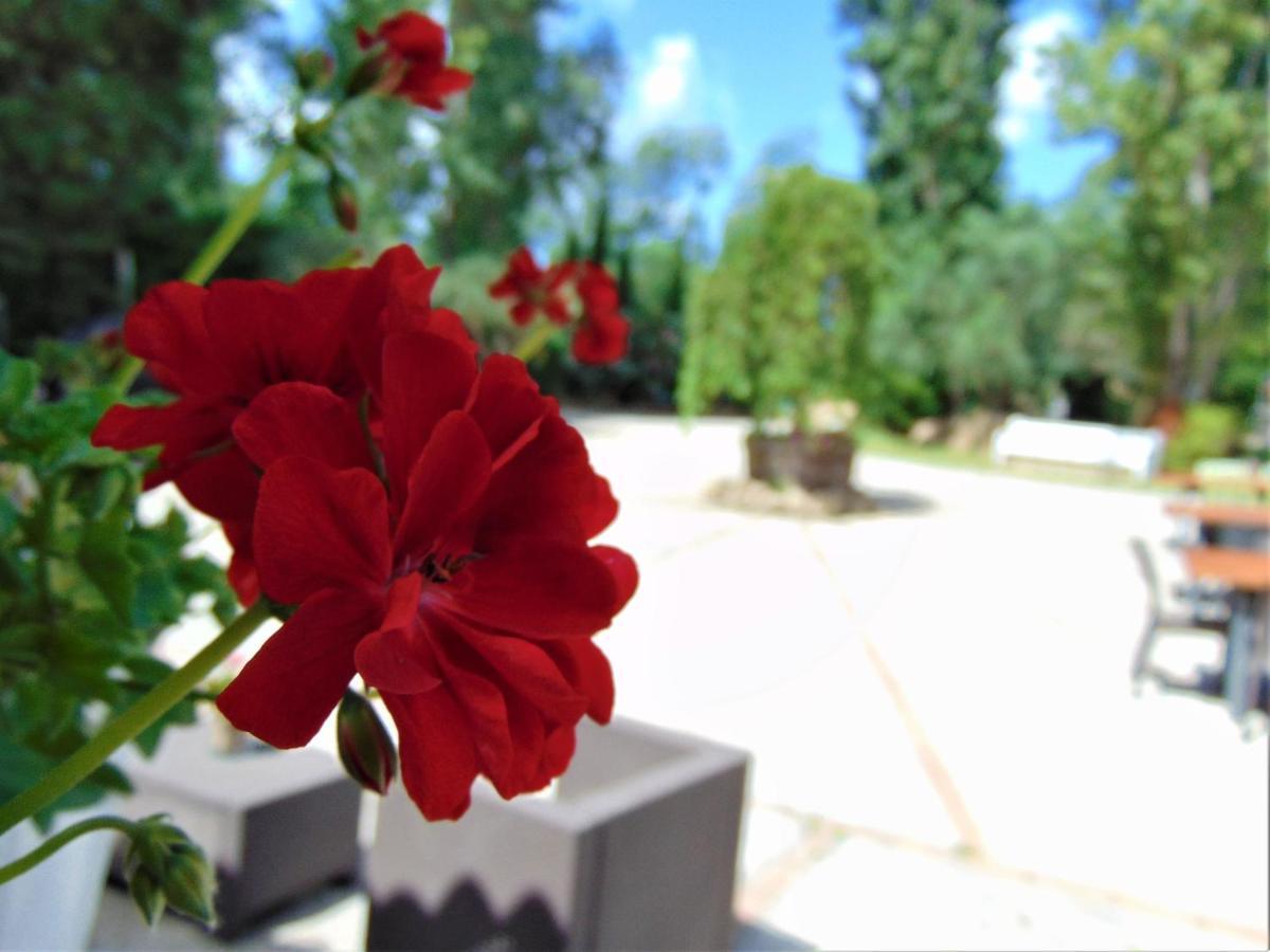Casale Rurale Bed & Breakfast San Marco Evangelista Exterior photo